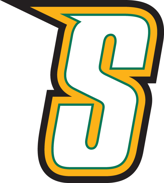 Siena Saints 2001-Pres Alternate Logo t shirts DIY iron ons v5